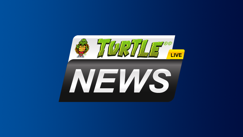 Turtle News